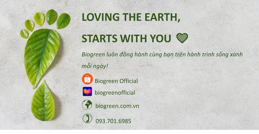 Biogreen Tự Hào Là 1 Trong Các Đơn Vị Đi Đầu Trong Việc Sản Xuất Và Phân Phối Các Sản Phẩm Thân Thiện Môi Trường Như: Ống Hút Giấy, Ly Cafe Giấy, Hộp Bã Mía, Hộp Kraft, Dụng Cụ Ăn Uống Bằng Gỗ,…