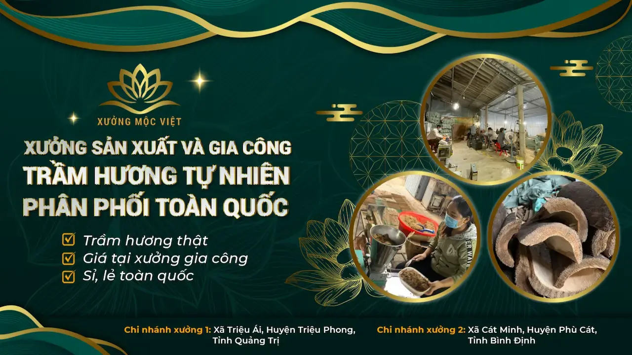 Công Ty Cổ Phần Xưởng Mộc Việt 1 Xưởng Sản Xuất Và Gia Công Trầm Hương Tự Nhiên Phân Phối Toàn Quốc