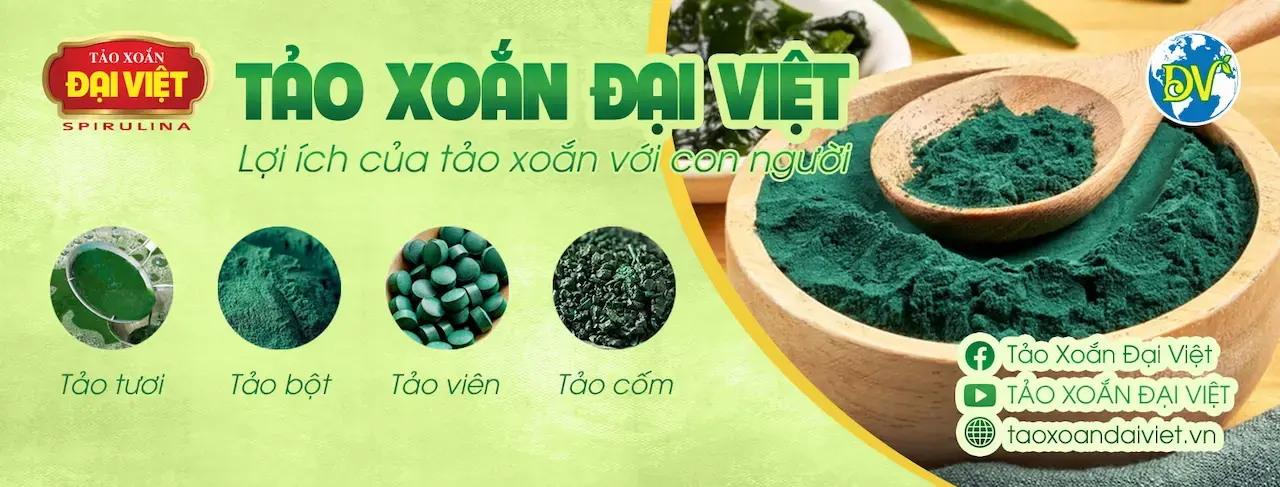 Sản Phẩm Tảo Xoắn Đại Việt Là 1 Đơn Vị Duy Nhất Nghiên Cứu, Phát Triển, Nuôi Trồng Và Chế Biến Tảo Xoắn Quy Mô Công Nghiệp Đạt Tiêu Chuẩn Gmp (Việt Nam) Và Fda (Hoa Kỳ).